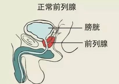 图片7