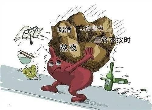 图片8.png