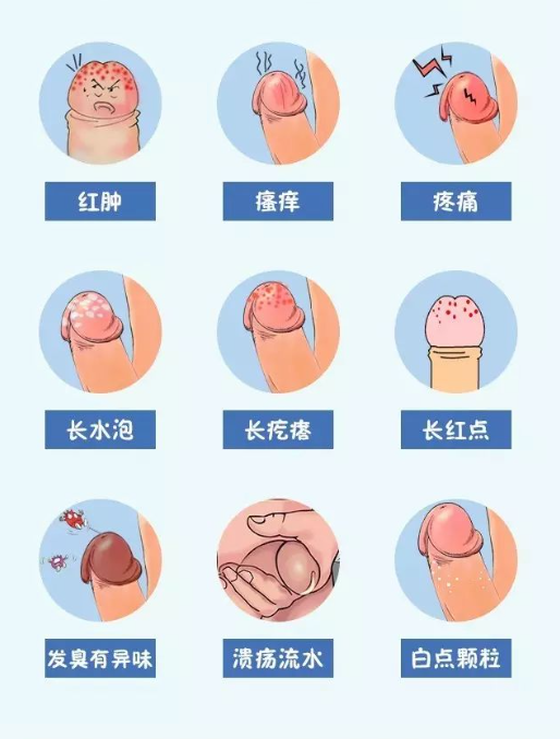 图片9.png