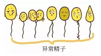 图片13.png