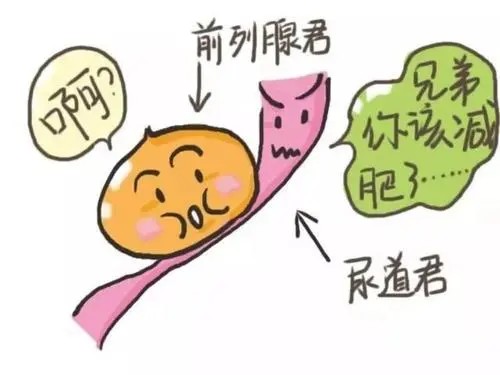 图片9