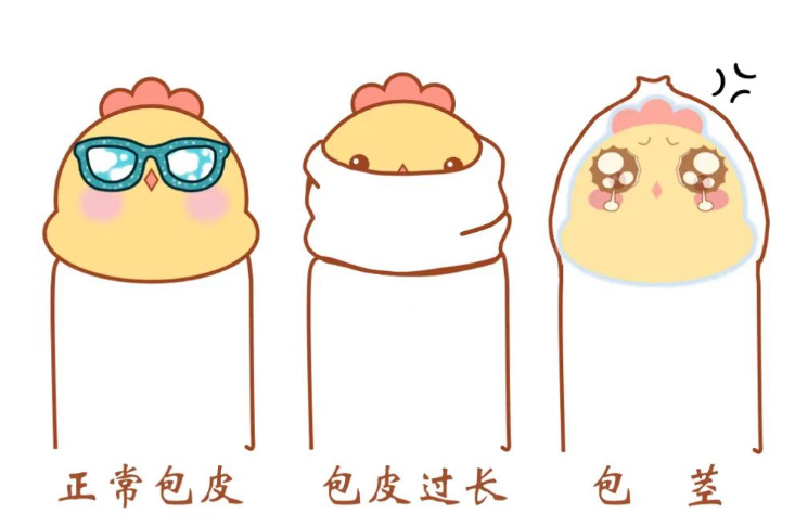 图片11