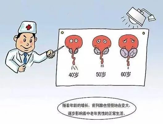 图片7