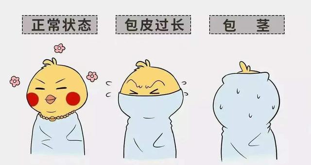图片8