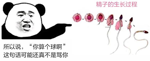 dbcfdd6c4858fc808eeda01726789601.jpg