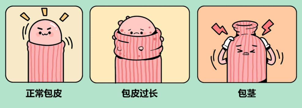 图片8
