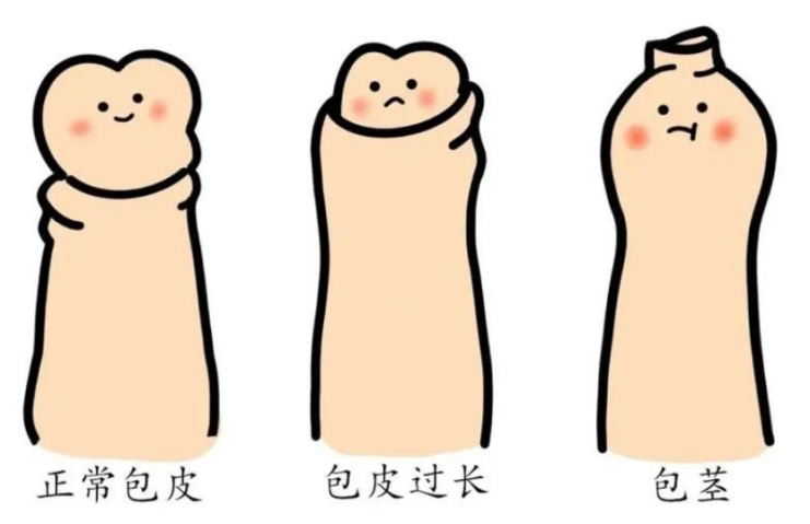 图片14