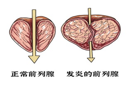 ff352282f7814a6ca8662e6215490ae2.png