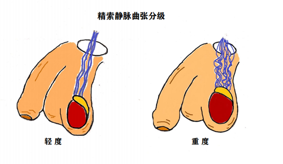 8ac5a86c51d4e04a6894483885ccd475.png