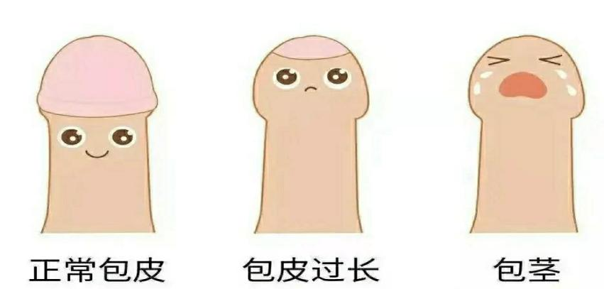 74a43ee7764c6eedb3ed40d6538d9e07.png