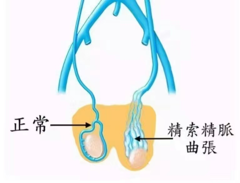 cbe78ddf8f6092411d8f3964a2d666cf.png