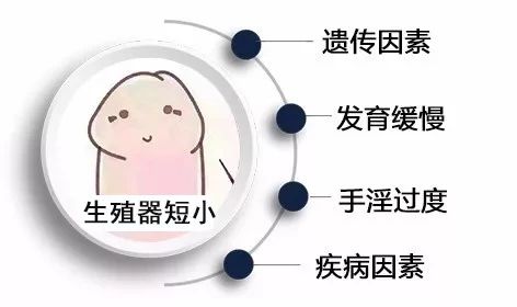 63bc9cb850a900a4f2a91ea8dd1b1d16.jpg