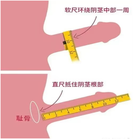 6e874a0ad571f8b1756d918e6265a701.png