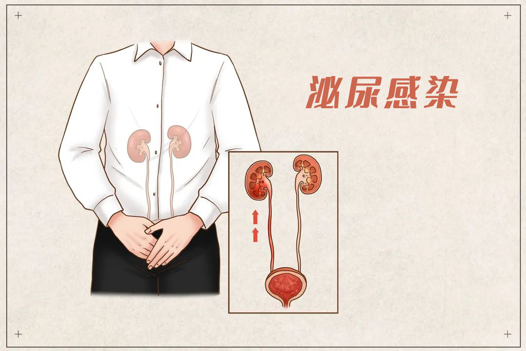 98228140af54a53f38dcd93cec8322ba.png