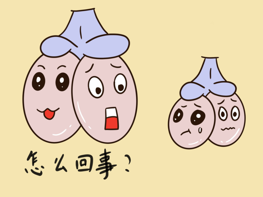 a576b89fd369578eb40b582a46922e7b.png