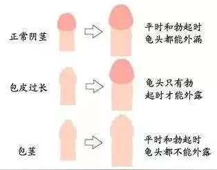 b980533efc99acb9c7b1315105b55d7a.jpg