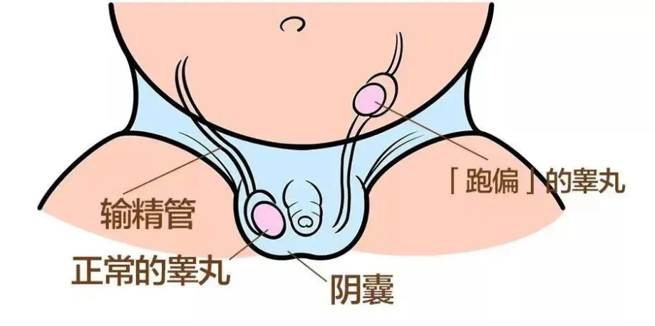 2a80334460b678fa65e91e75aa377b8e.png