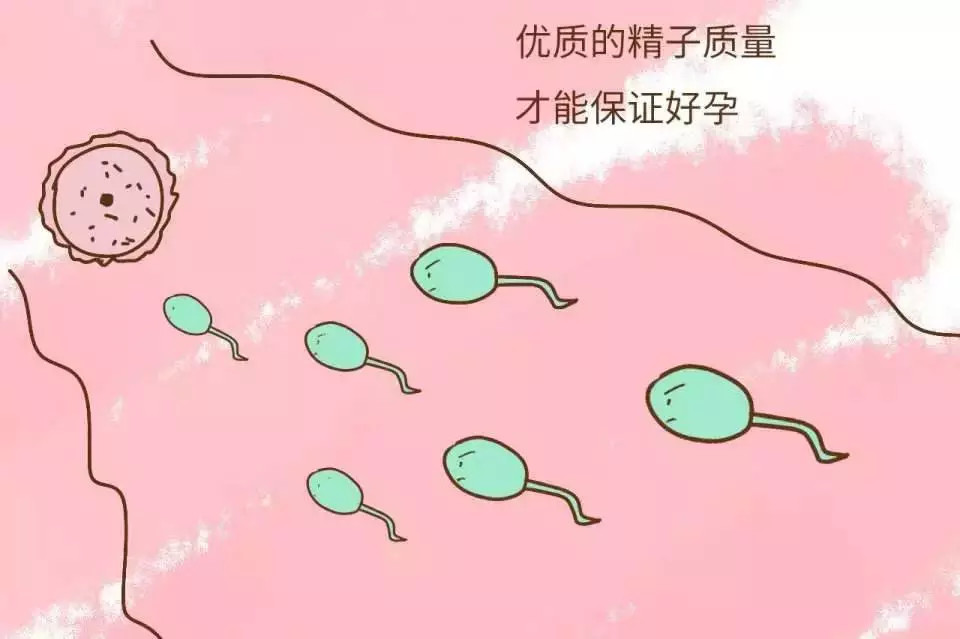 ad45aaec7f2d70089ea7a42a12e7b520.jpg