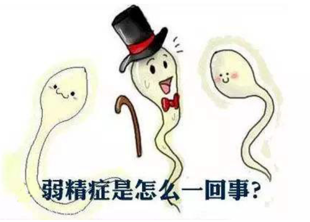 0048c8dfb71f6b98bfe4750f128d1d39.png