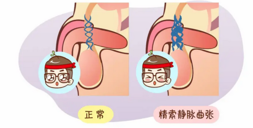 b37b9c8d5ddbae7f646886ab459661c5.png