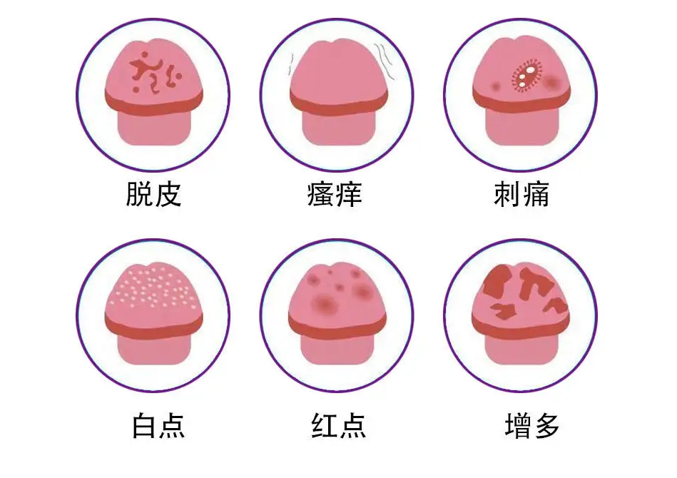 45b4d35c1c1fd74dbc8cfbc8eab8f1bd.png