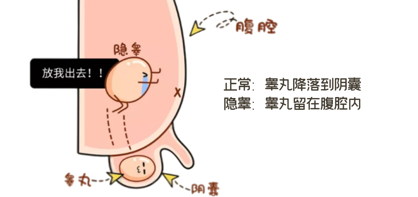 676964d867af0ce54395c5cf0d278e62.png