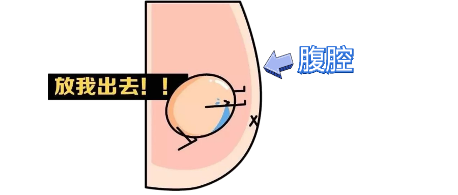 ab13f2ed5852366c4937fa758935bb33.png