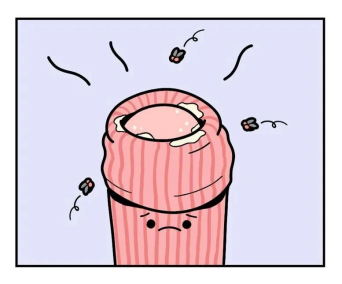 4908bd276b1e1c06bd4e256515e1c912.png