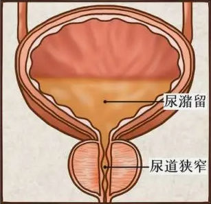 f6a25611835b8d677feceb9440e71edc.png