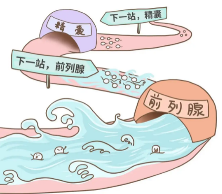 c240524f5f912759a613432a8ee93c7c.png