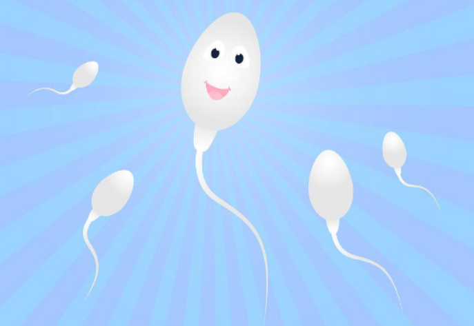 11faf1966078b4e889435632c788cac.png