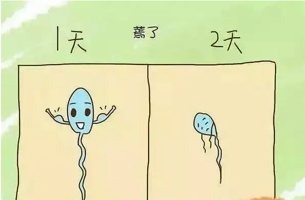 b3c283fdd0322f3f7ec4b35c665a233e.png