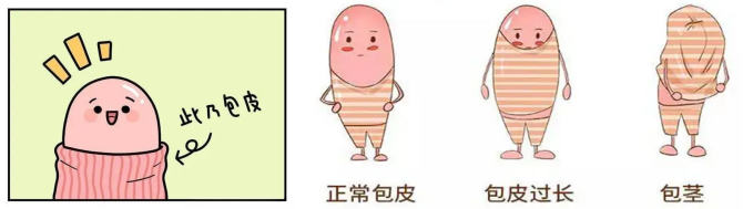 5e901eda70f62af1964f6a3f4d17783b.png