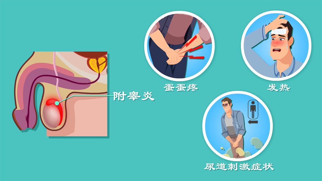 df2b1bfc0c2d576a88a67188b6027789.png