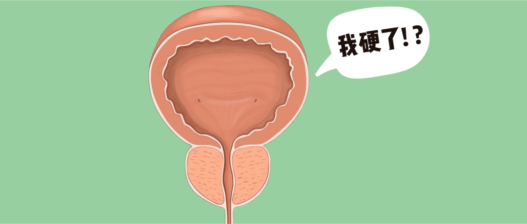 b5d56ce5dd49b3a454049d0ec0cf3f73.png