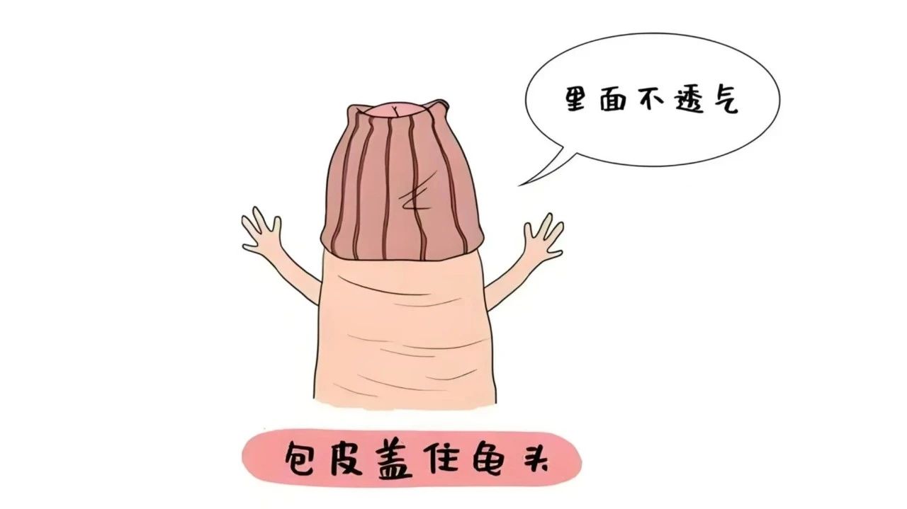 6b05a349a460e03ed59860a5c045799f.jpg
