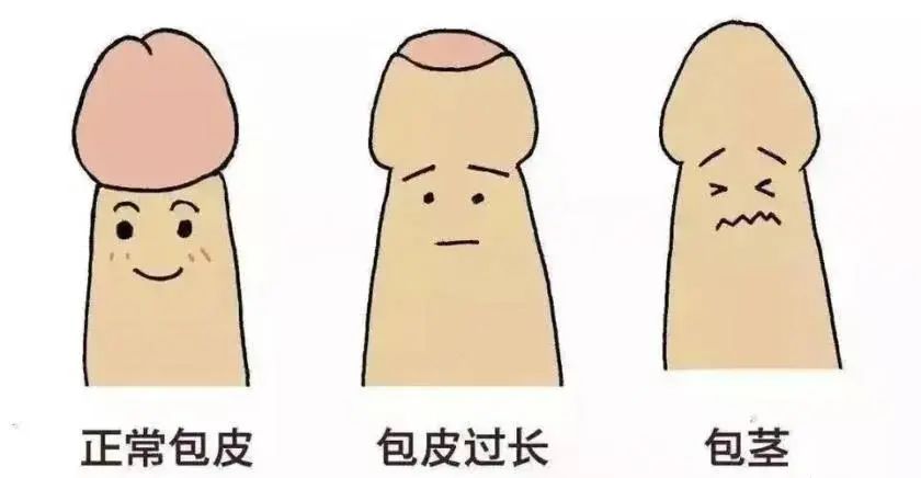 f23d158d4d0ccfae31ad00b76addd48b.jpg