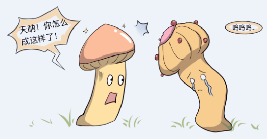 c706e223eca91c8d2e265b591e5d9f84.png