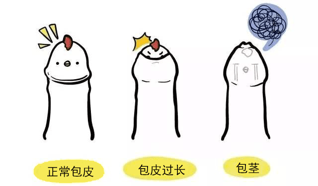 aa5a0787580e11e33b81036198413a30.png