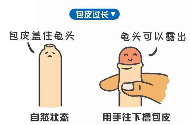 ed3393cf2585301c8a66c3993b435d9d.png