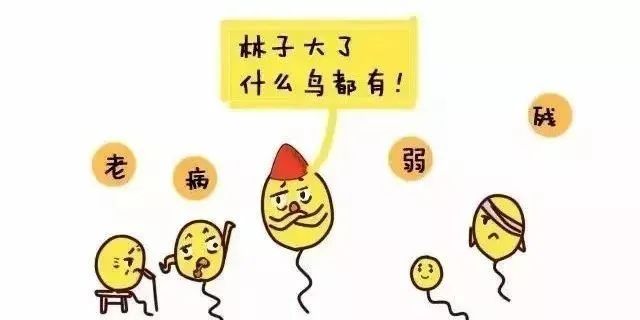 eba4a9f75209b65cb999170646fbd83b.jpg