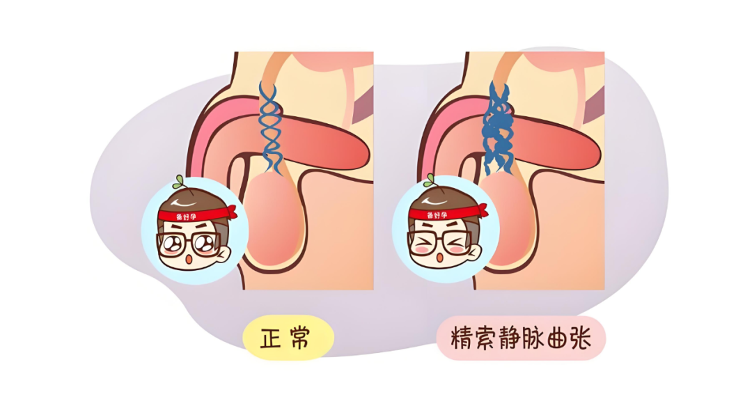 efdf05142fd76c93a8184ffc44ef2f1f.png
